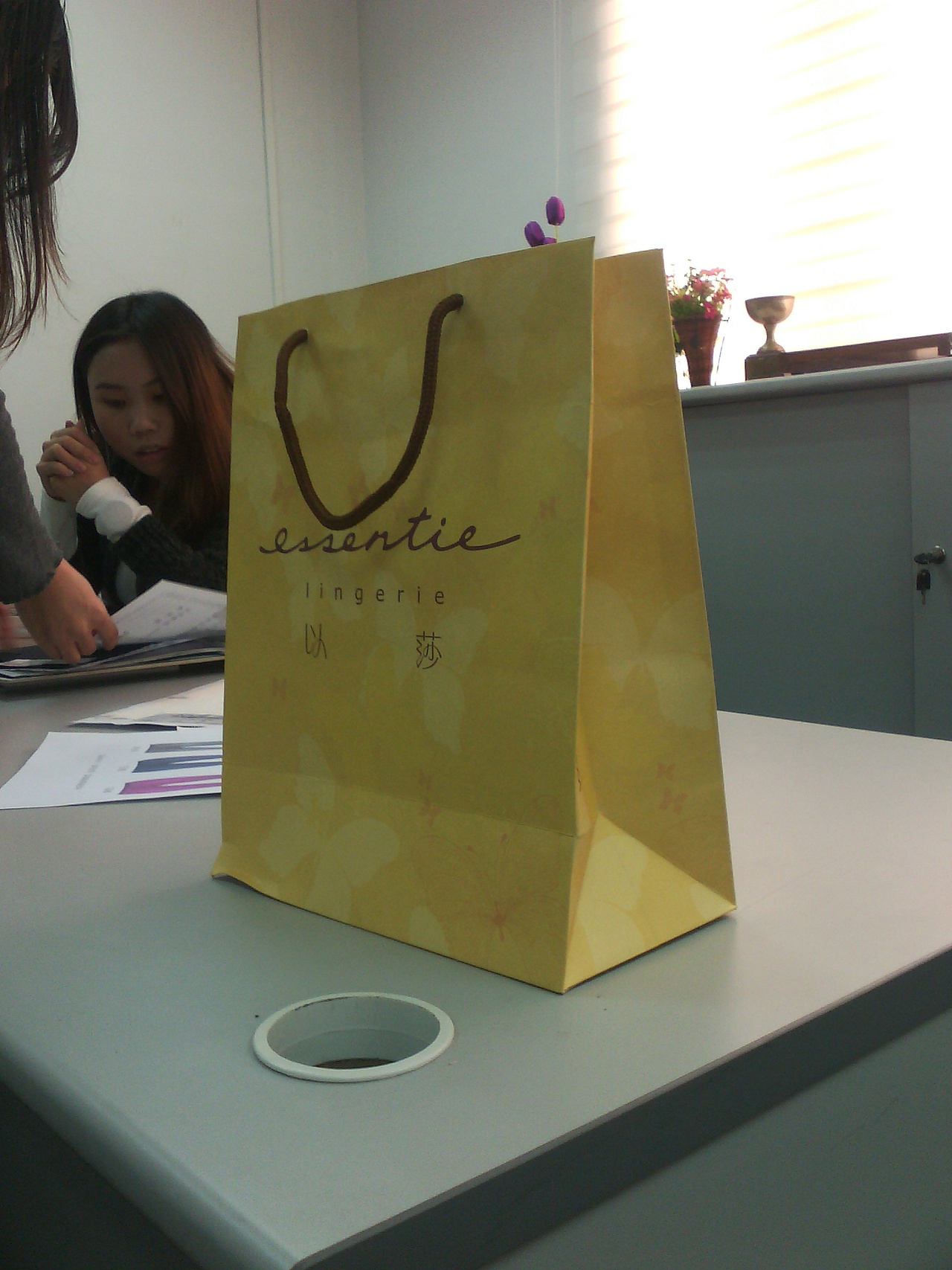 新的形象购物袋