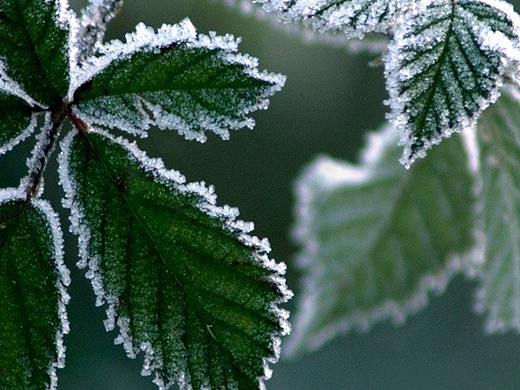 分享海報(bào)（個(gè)人主頁-ZNDk2NzA0MTY=） - 海報(bào) - 站酷設(shè)計(jì)師Z65203854原創(chuàng)素材 - 站酷ZCOOL