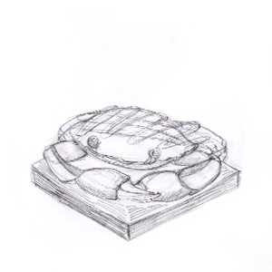 SIGOODS时物 面包心语H5