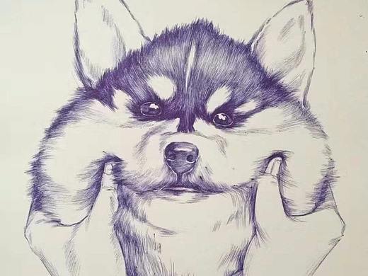 闲暇手绘（个人主页-ZMzI5NzI5OTY=） - 创作习作 - 站酷设计师王Shoulder原创素材 - 站酷ZCOOL