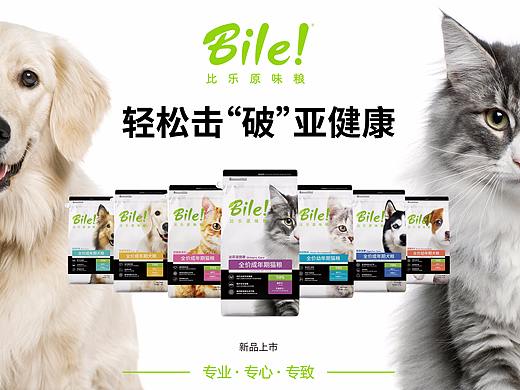比乐专系列包装设计
