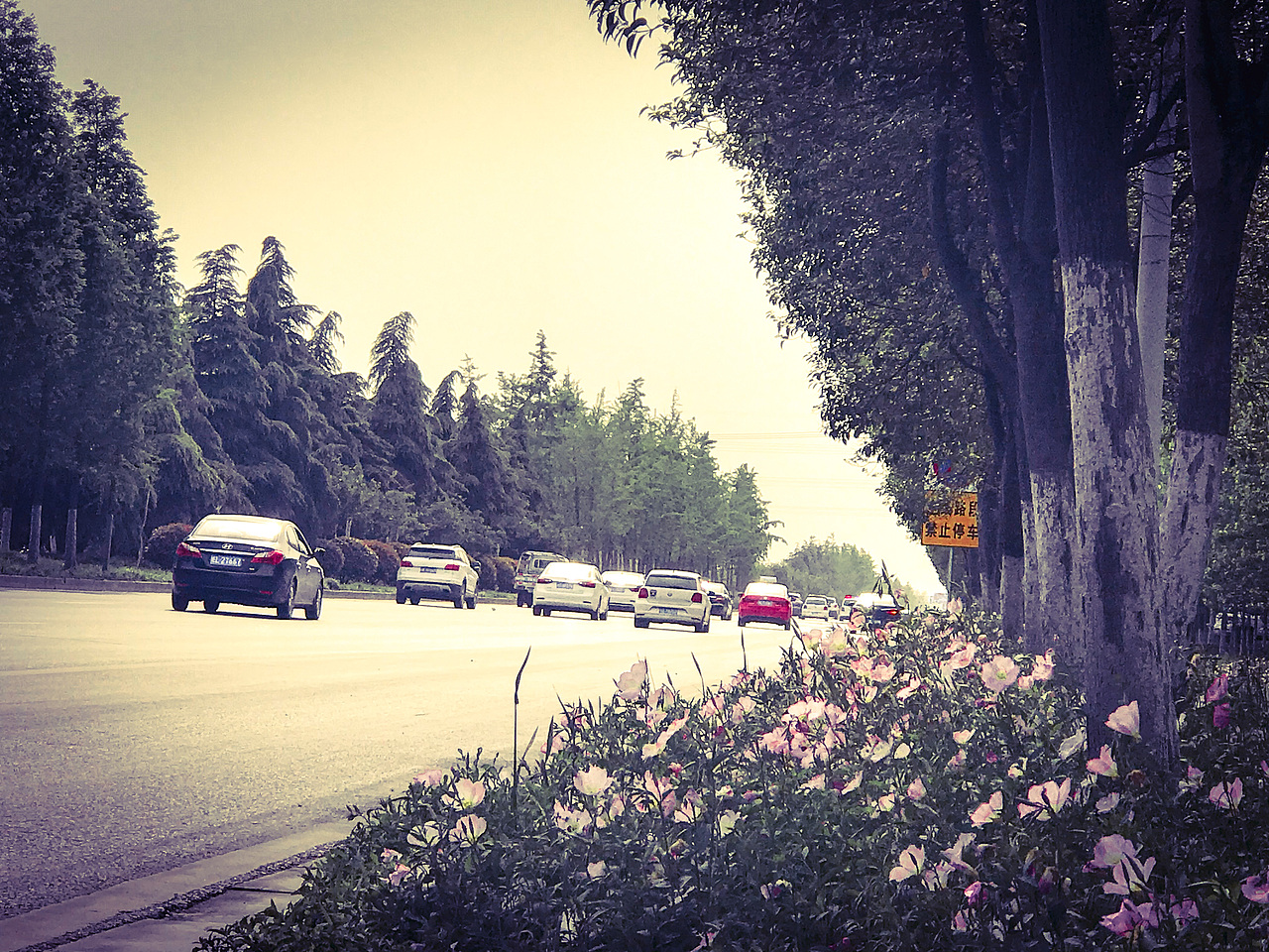 尽管家在远方,但途中的风景却像梦一般美好的令人向往。