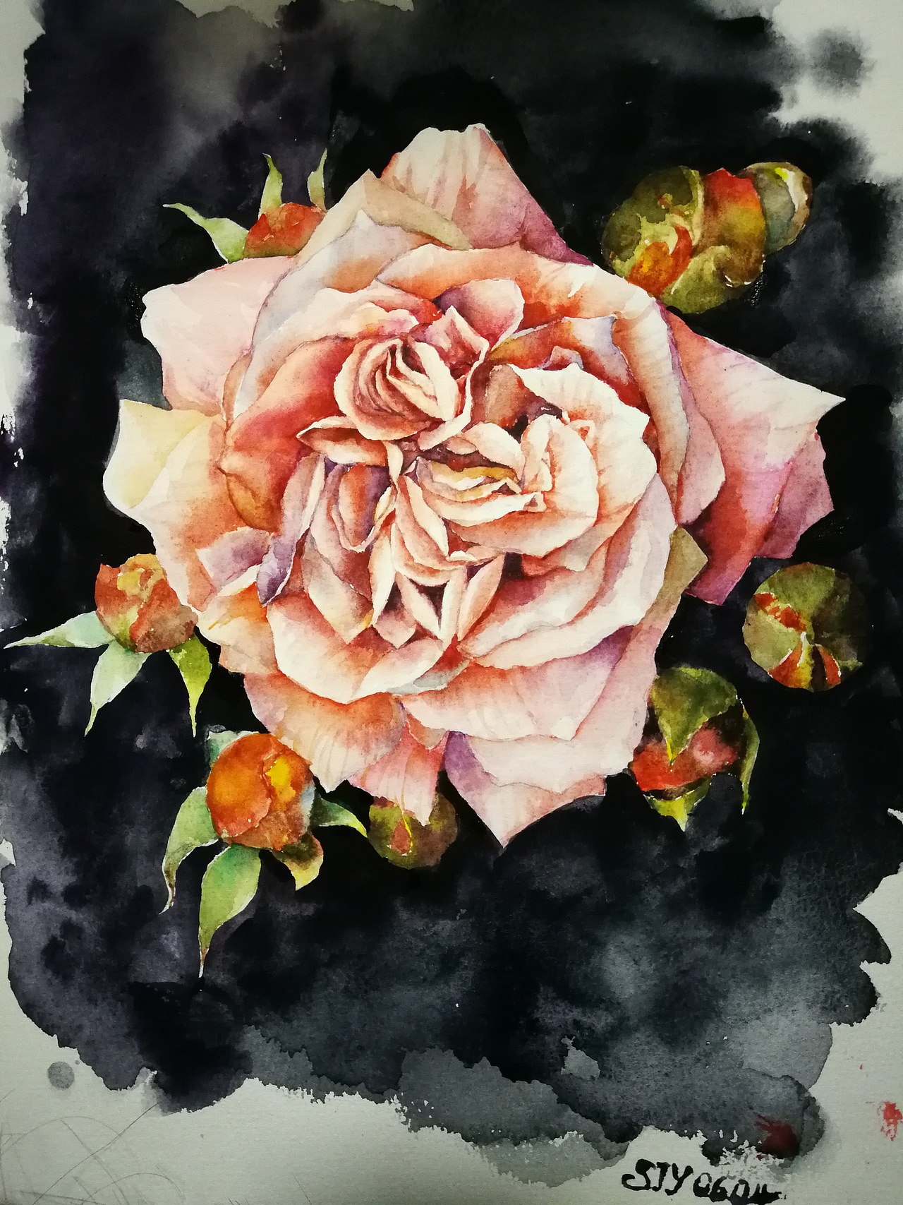 黄有维老师的玫瑰花继续画着