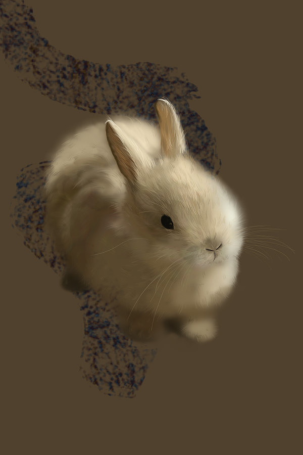 皮毛练习（图ZNzAzMDU4OTY=） - 商业插画 - 站酷设计师蔓之原创素材 - 站酷ZCOOL