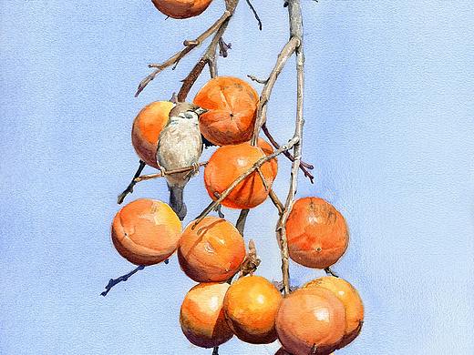一组水彩装饰画