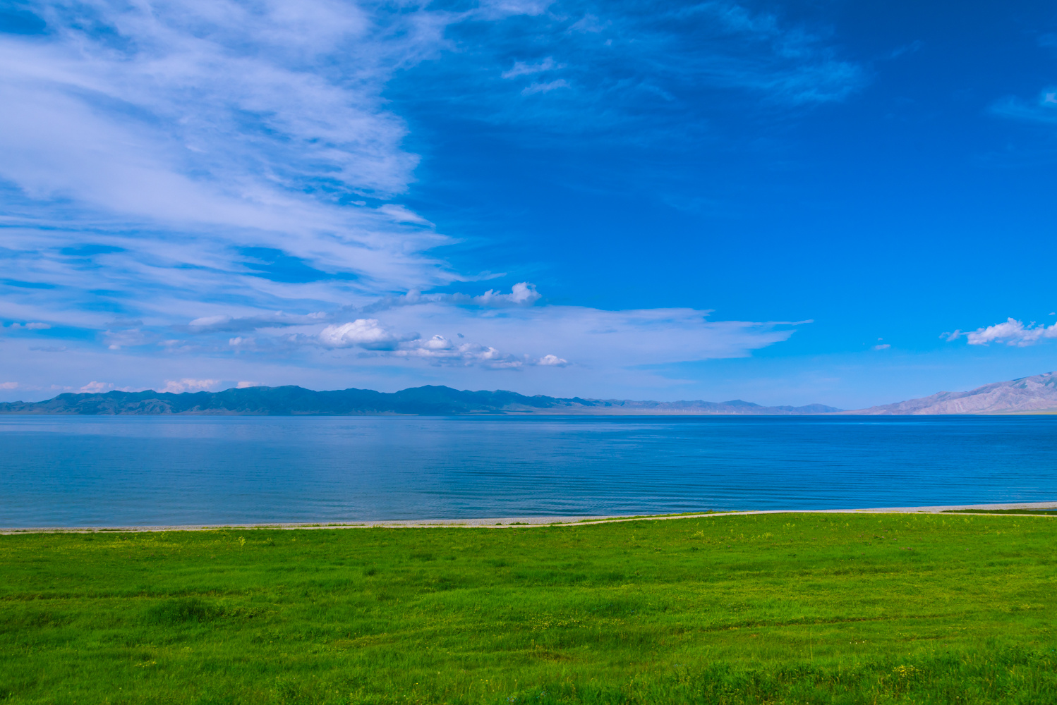 【花的海洋---赛里木湖摄影图片】新疆赛里木湖风光摄影_剑影秋风