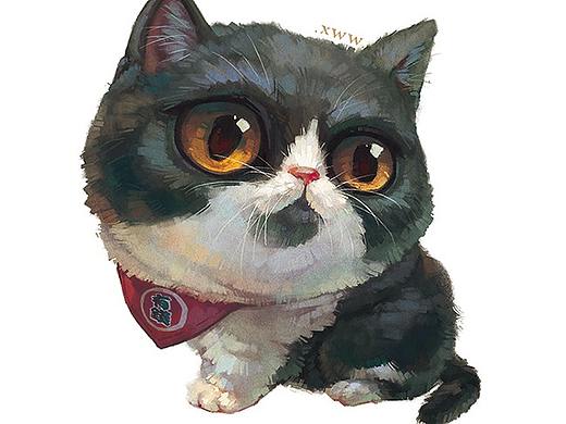 【萌宠by雪娃娃】英短猫丸子