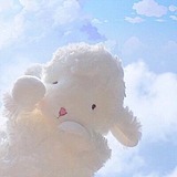 sheep洋的头像
