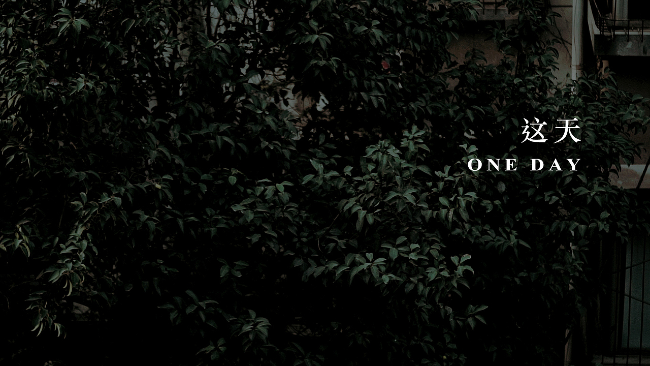 INMOTION有像视频 | 婚礼MV -「 这天 」