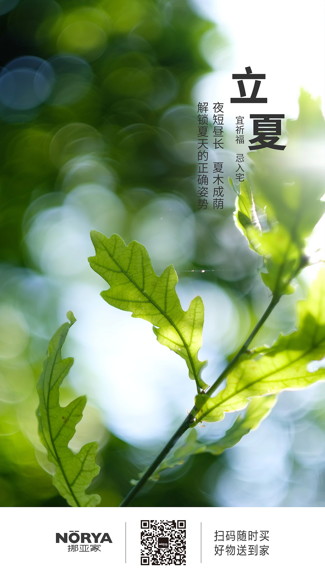 朋友圈宣传海报