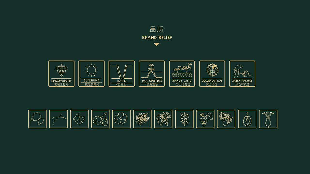 【零度创意】沙营牌葡萄logo及包装设计（图ZMjc1Mzc2NjEy） - 包装 - 站酷设计师零度艺舍品牌策划原创素材 - 站酷ZCOOL