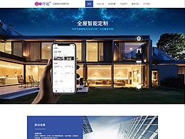 企業(yè)網(wǎng)站