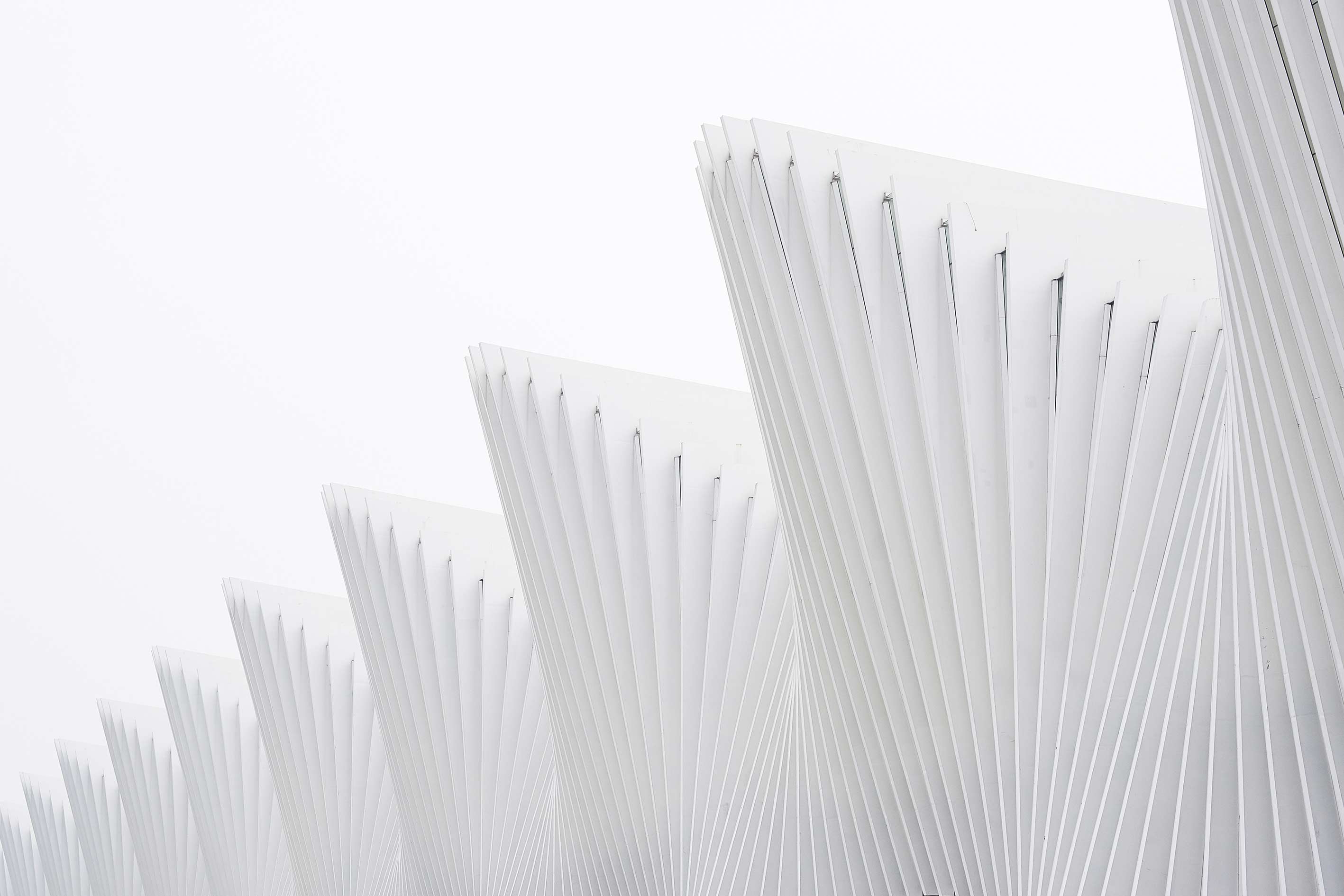 熱心小伙子的個人主頁（背景預(yù)覽） - 主頁背景設(shè)置 - 站酷設(shè)計師熱心小伙子原創(chuàng)素材 - 站酷ZCOOL