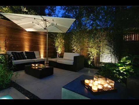 天台上，花园中！