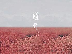 “告白”+“维护”=“爱你一生”（2.0）