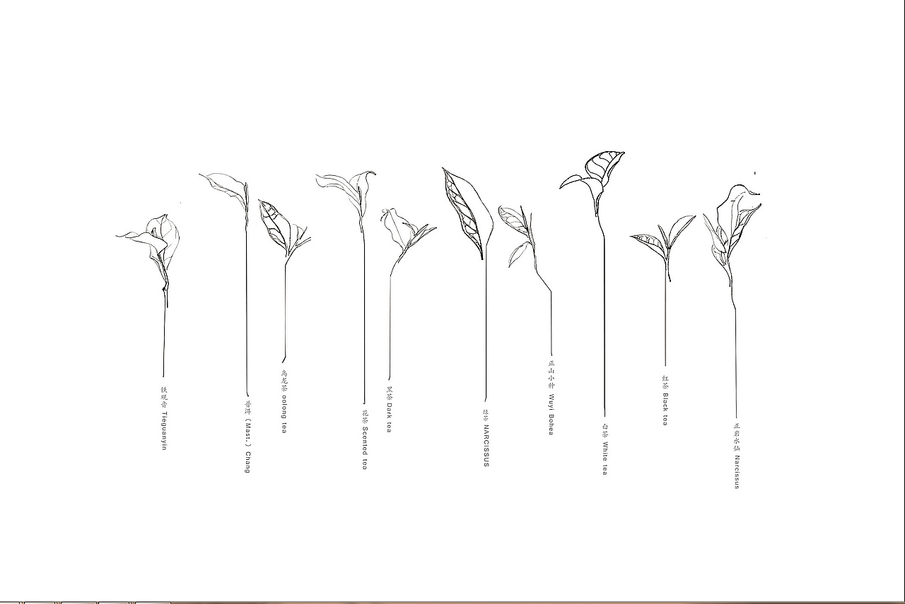 茶叶品牌全案设计开发(传统新表现)