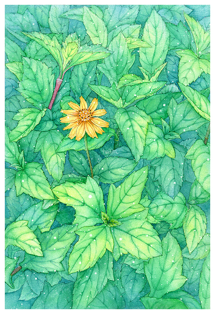 夏日的小黄花|插画|涂鸦/潮流|oaim - 原创作品 - 站酷 (zcool)