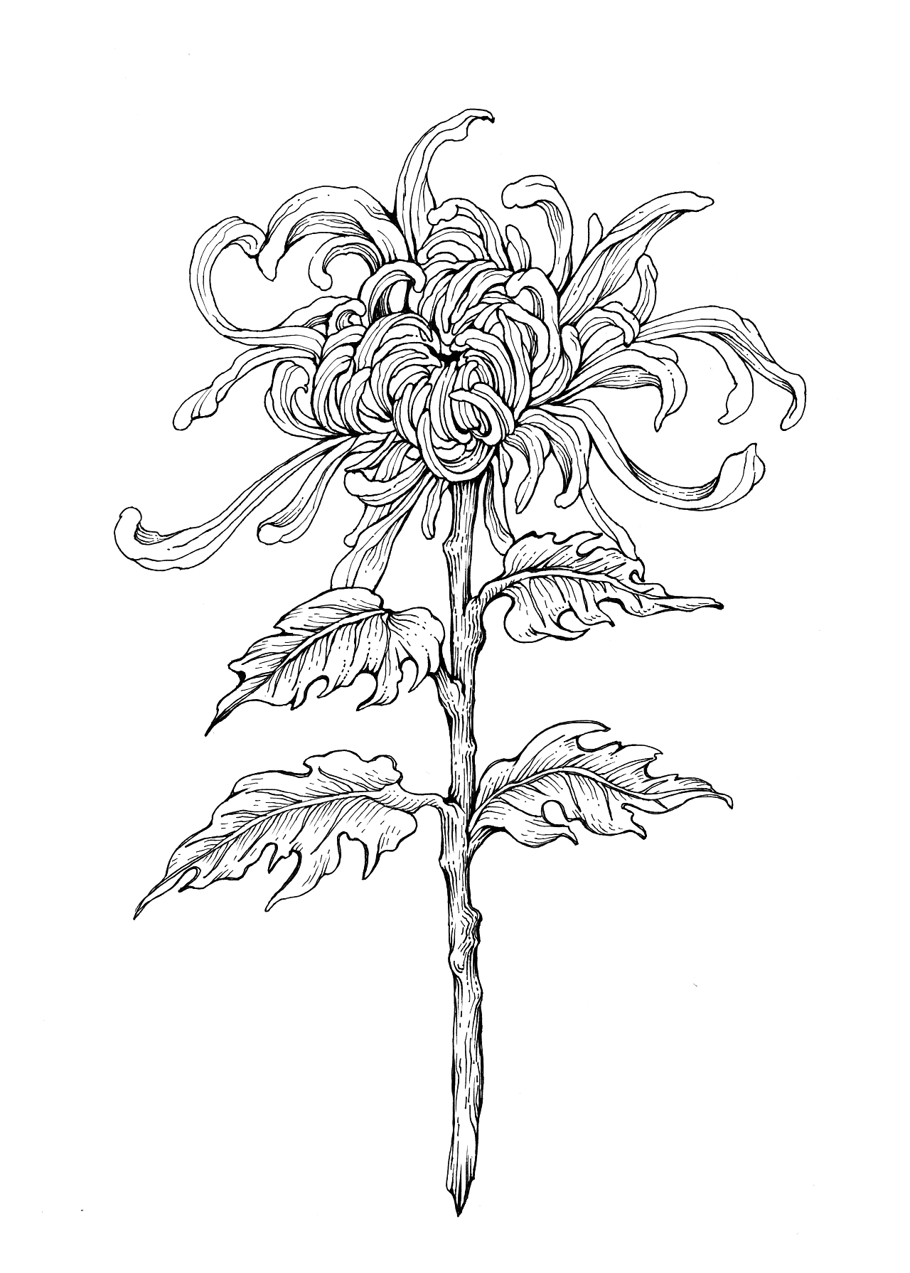 利美缘包装插画设计（图ZMjc2NDEwODk2） - 商业插画 - 站酷设计师张贇ILLUSTRATION原创素材 - 站酷ZCOOL