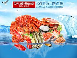 鱼详情参考