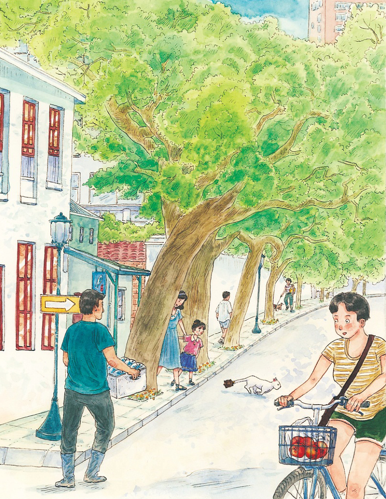 一只乌龟一只猫