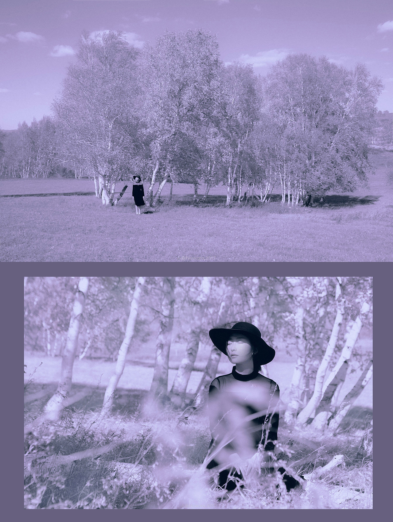 在那遥远的地方