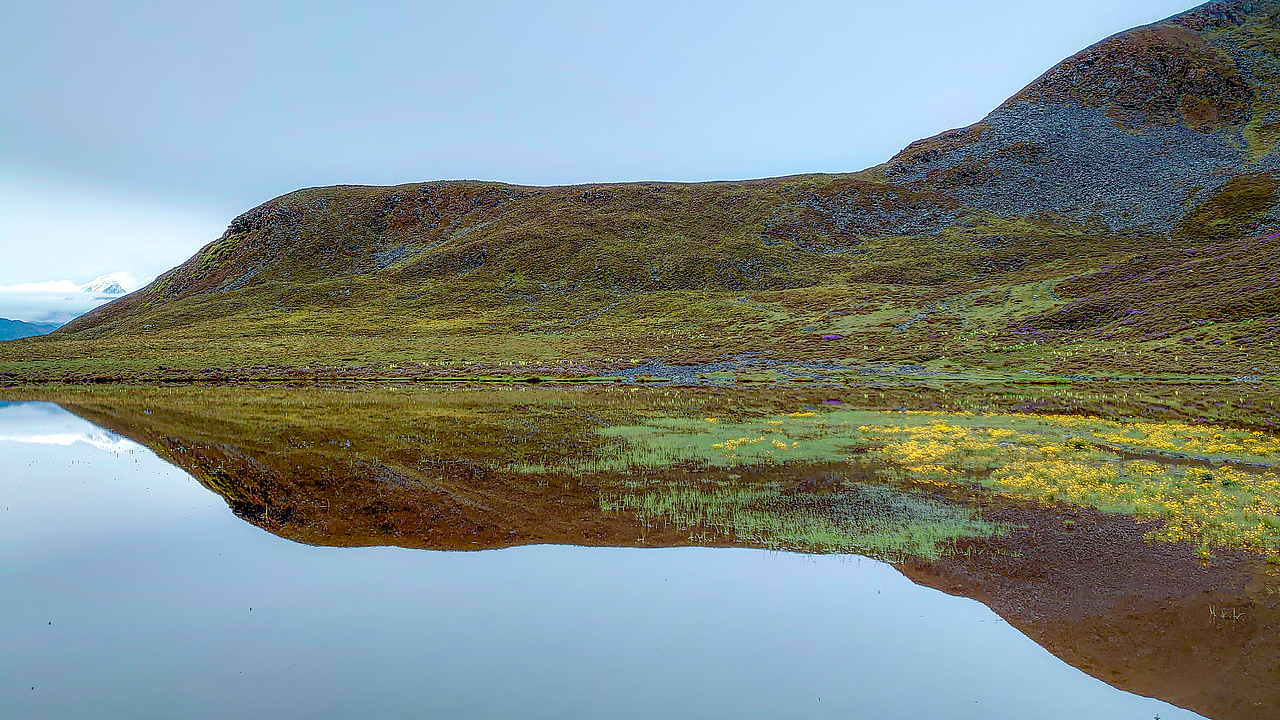 手机拍摄——sony