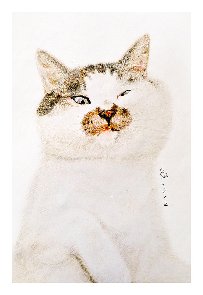 喵星人画像-第二季