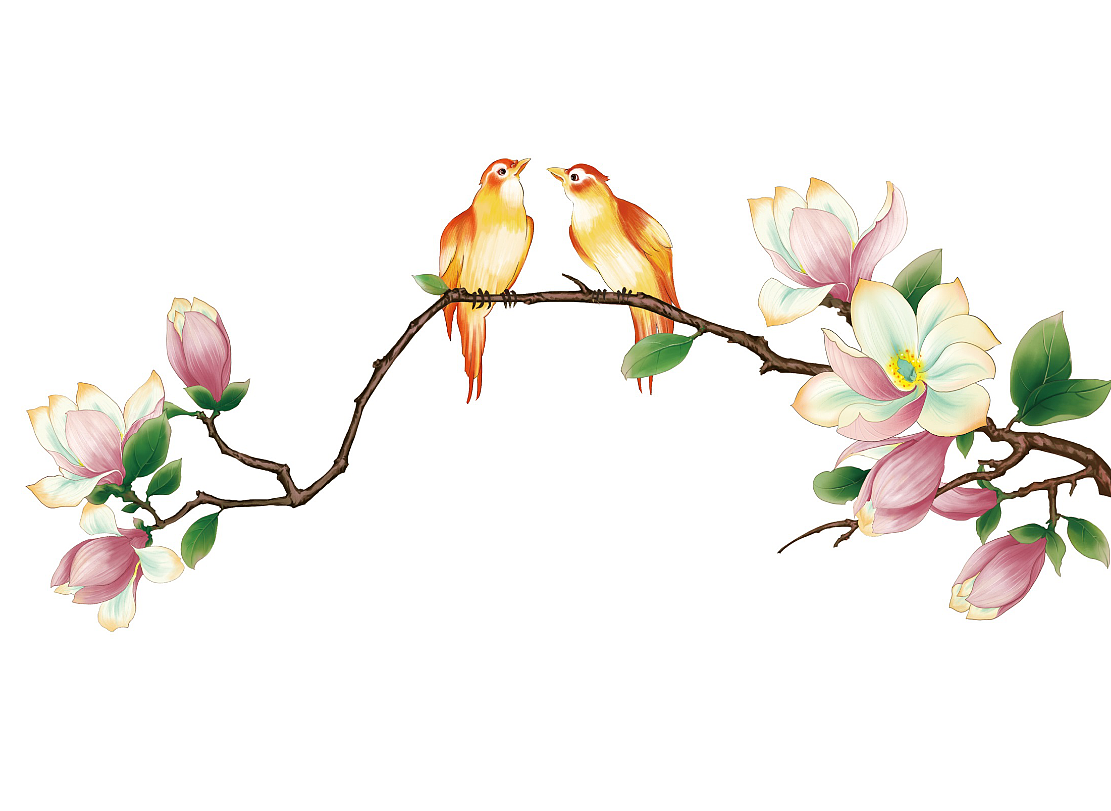 洛娃洗衣液系列插画设计（图ZMzY4NDI0MDQ=） - 包装 - 站酷设计师eerkai原创素材 - 站酷ZCOOL