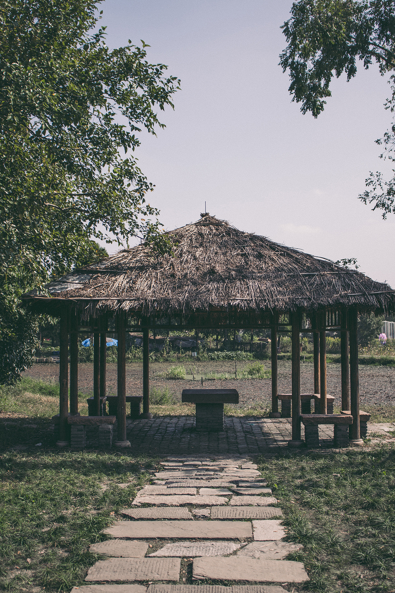 广富林古文化遗址