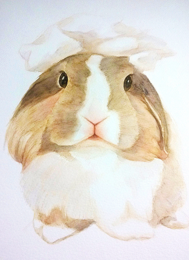 兔子|插画|涂鸦/潮流|rabbitmao - 原创作品 - 站酷 (zcool)
