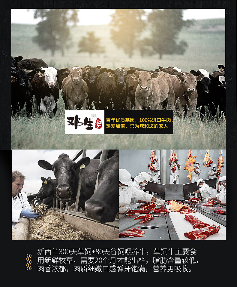 西餐牛排详情页（图ZMjg0MzExOTQ4） - 电商 - 站酷设计师赵御瑾与贺乔宴原创素材 - 站酷ZCOOL