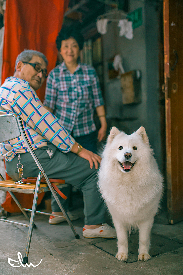 是要拍我吗?
<br>周日拍喵时,偶遇一对老夫妻正给小萨梳理毛发,其貌可爱便问可否拍一张,阿婆带着自豪的语气,拍拍小萨答道:好,来拍一张!于是就有了这可爱温馨的画面^_^