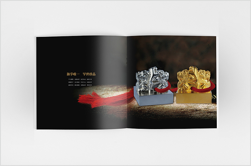 画册 - china黄金（图ZMTMzNTgzOTIw） - 书籍/画册 - 站酷设计师金鸡吃豆原创素材 - 站酷ZCOOL