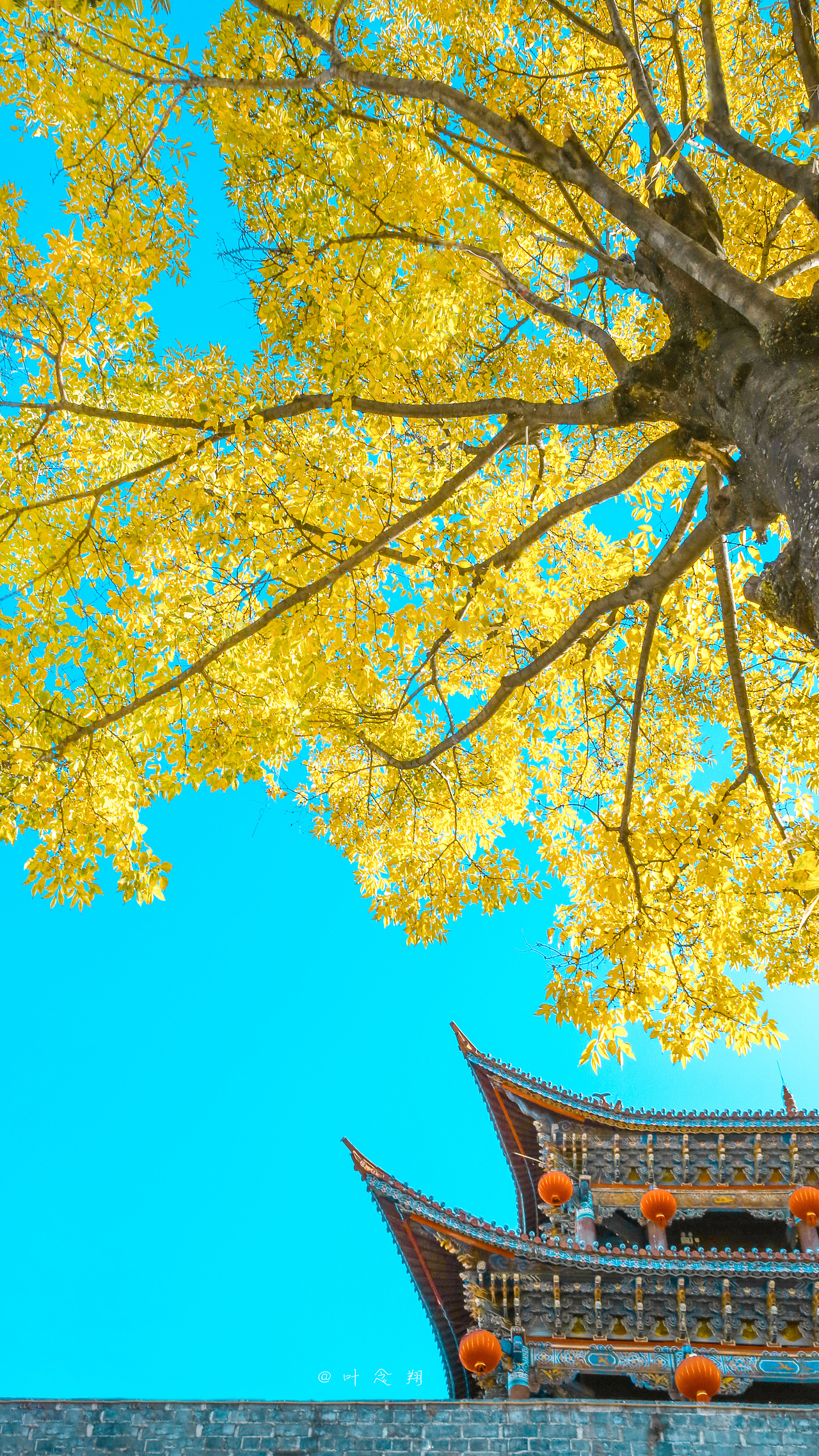 大理古城的秋（图ZMTg4ODUwMTYw） - 风光摄影 - 站酷设计师叶念翔原创素材 - 站酷ZCOOL