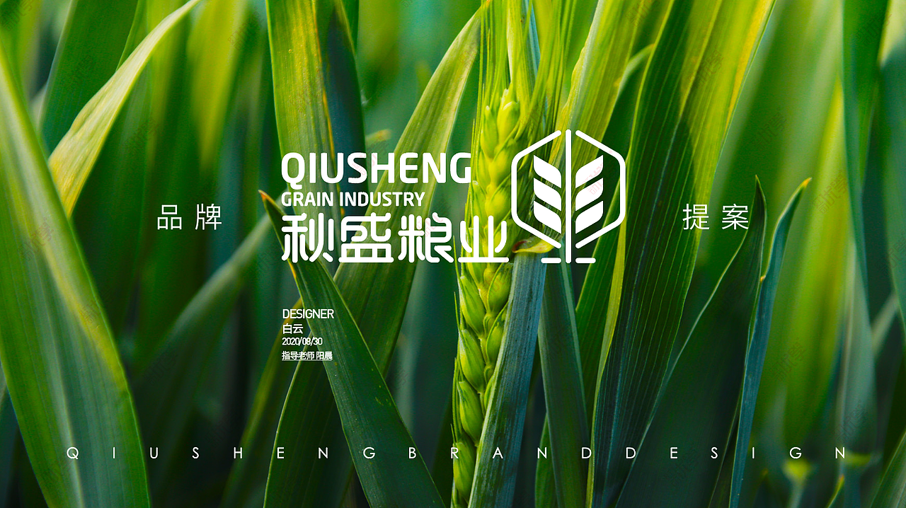 学员作品—品牌设计合集03