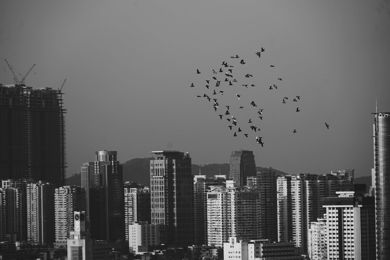 厦门之行（图ZOTMwODIyMTY=） - 风光摄影 - 站酷设计师靖桦原创素材 - 站酷ZCOOL