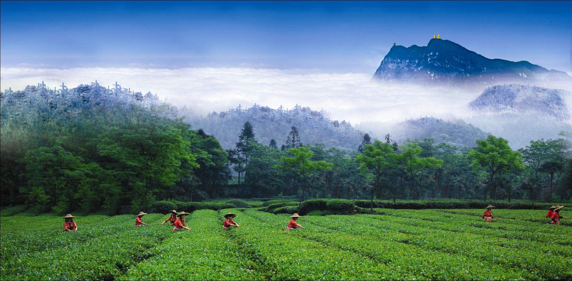 南国的小陈同学吖的个人主页（封面预览） - 主页封面设置 - 站酷设计师南国的小陈同学吖原创素材 - 站酷ZCOOL