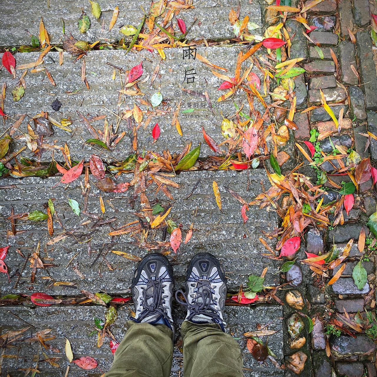 那些在iPhone6s里的景色（贰）——人间并不寂寥