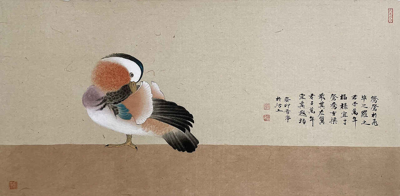 《秀羽写生系列》