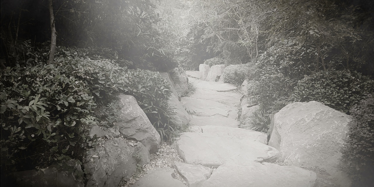 一路行来一路拍，总有美景留下来。