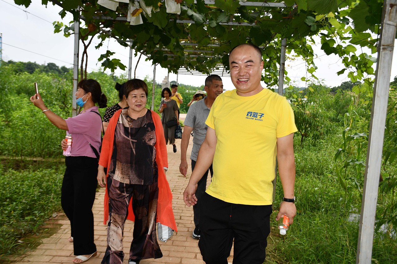 黄篮子生鲜会员探访黄篮子蔬菜种植基地 - 天然无公害