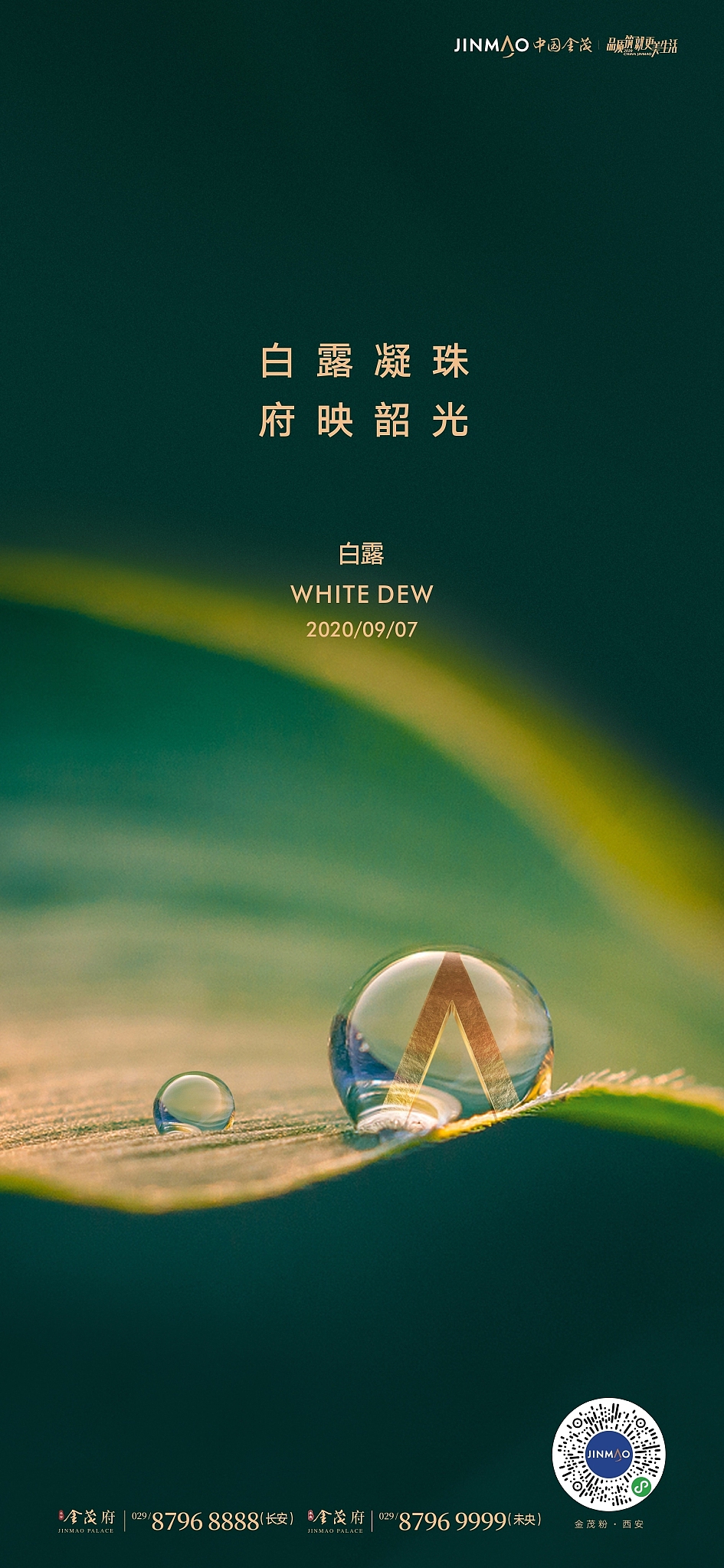 地产项目金茂府部分视觉整理