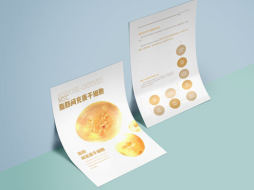 生物科技--单页设计