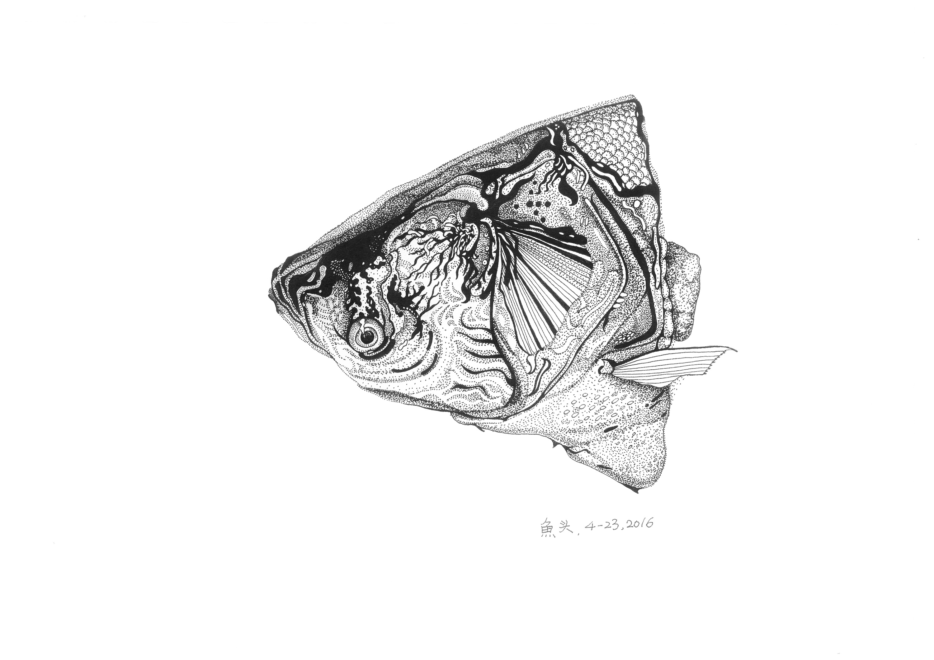 衢州鱼头简笔画图片