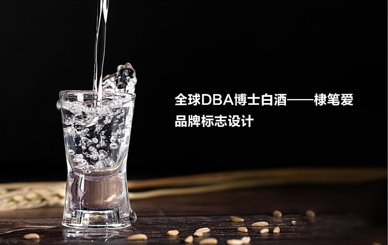 博士白酒品牌标志设计