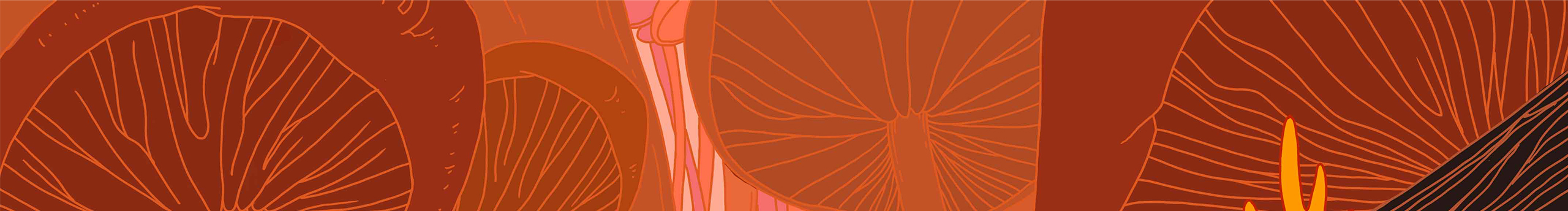 ZOE的遐想的个人主页（封面预览） - 主页封面设置 - 站酷设计师ZOE的遐想原创素材 - 站酷ZCOOL