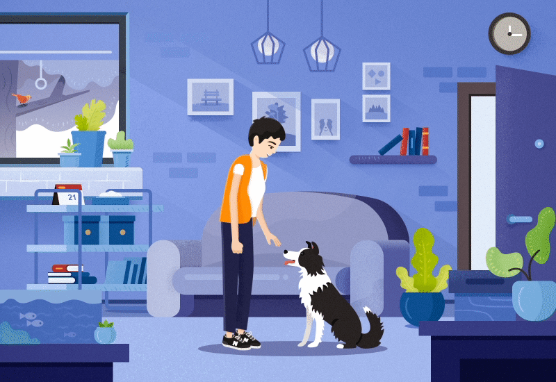 我家的边牧叫豆花（图ZMTI3MjcyNjE2） - 创作习作 - 站酷设计师YoyoChiang原创素材 - 站酷ZCOOL