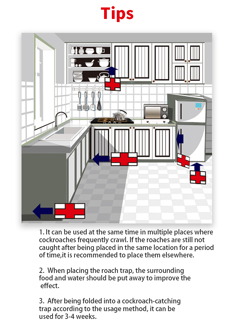 蟑螂屋英文详情页（图ZMjc3MDc5MzA0） - 电商 - 站酷设计师余常安原创素材 - 站酷ZCOOL