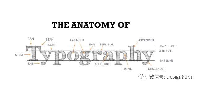如何设计一套西文字体库 一 设计文章 站酷 Zcool