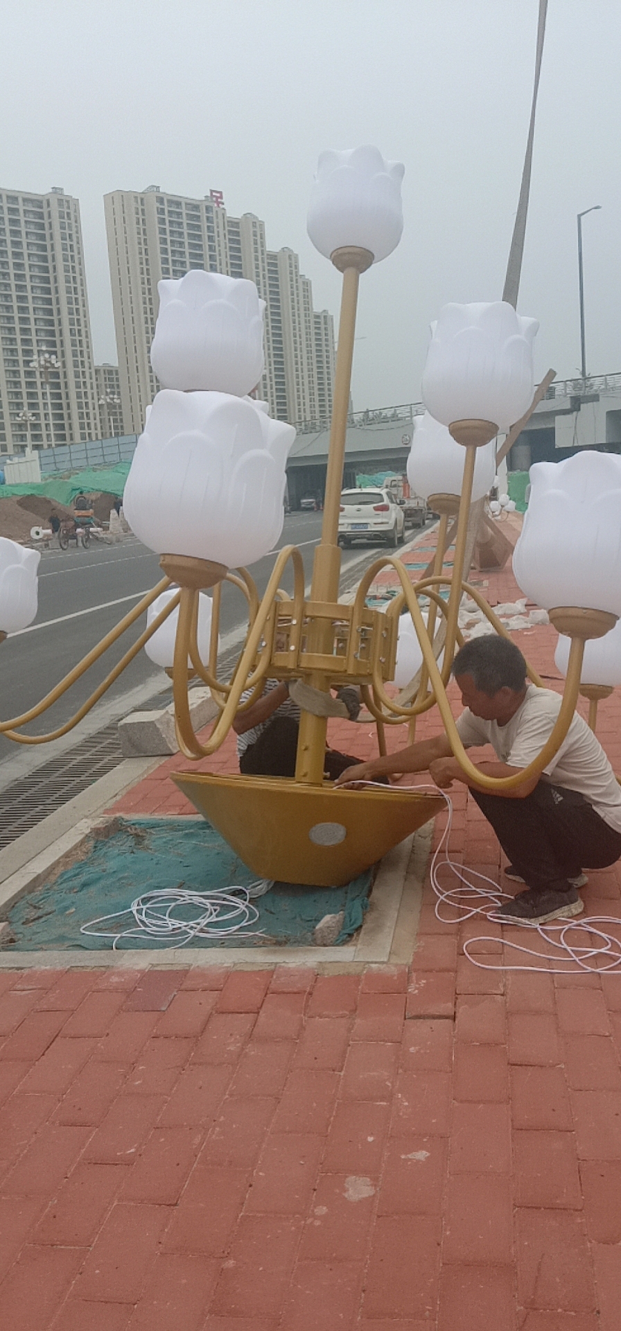 10米户外中华灯路灯 多头户外景观灯 定制高度玉兰灯